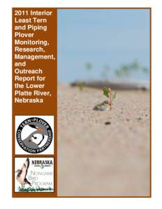 2011 Interior Least Tern and Piping Plover Monitoring, Research,