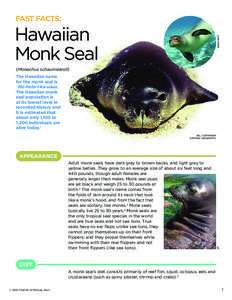 FAST FACTS: JAMES WATT Hawaiian Monk Seal (Monachus schauinslandi)