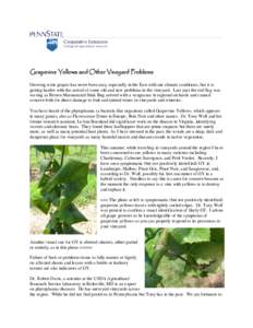 Grapevine Yellows and Other Vineyard Problems Growing wine grapes has never been easy, especially in the East with our climate conditions, but it is getting harder with the arrival of some old and new problems in the vin