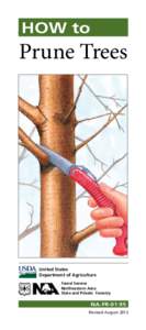 HOW to  Prune Trees United States Department of Agriculture