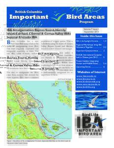 IBA Amalgamation: Baynes Sound, Hornby Island-Lambert Channel & Comox Valley IBAs become K’omoks IBA B