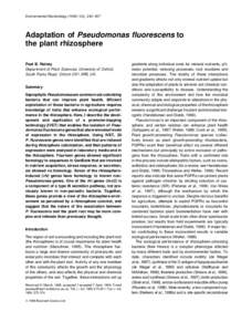 Environmental Microbiology[removed]), 243–257  Adaptation of Pseudomonas fluorescens to the plant rhizosphere Paul B. Rainey Department of Plant Sciences, University of Oxford,