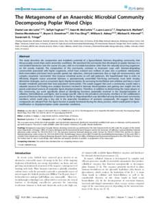 Papermaking / Cellulose / Excipients / Hemicellulose / Lignocellulosic biomass / Lignin / Cellulase / Glycoside hydrolase / Xyloglucan / Chemistry / Polysaccharides / Biology