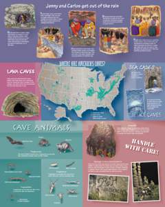 Cave / Trogloxene / Caving / Lava cave / Ice cave / Mammoth Cave National Park / Physical geography / Subterranea / Troglobite
