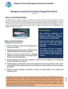 Regional Fisheries Management Advisory Committee  Management advisory for the Bay of Bengal hilsa fishery June[removed]What is the BOBLME RFMAC