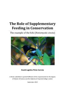 The Role of Supplementary Feeding in Conservation The example of the hihi (Notiomystis cincta) David Laginha Pinto Correia