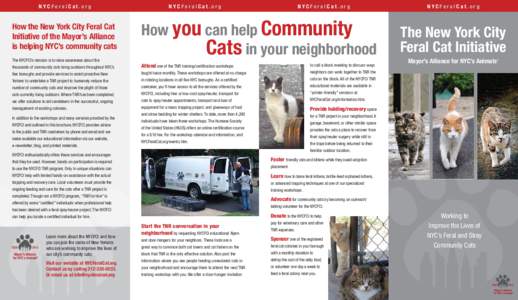 NYCFeralCat.org  How the New York City Feral Cat Initiative of the Mayor’s Alliance is helping NYC’s community cats The NYCFCI’s mission is to raise awareness about the