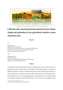 Collection data measuring the interactions between climate change and agriculture in the agricultural statistics system of Burkina Faso (Draft1) By BAKO Dramane