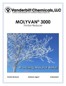 MOLYVAN® 3000 Friction Reducer Branching Makes It Better Friction Reducer