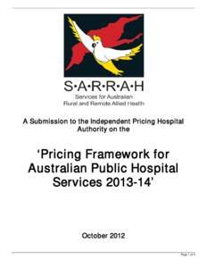 A Submission to the Independent Pricing Hospital Authority on the ‘Pricing Framework for Australian Public Hospital Services[removed]’