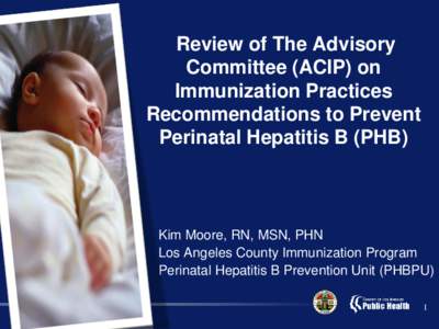 Review of The Advisory Committee (ACIP) on Immunization Practices Recommendations to Prevent Perinatal Hepatitis B (PHB)