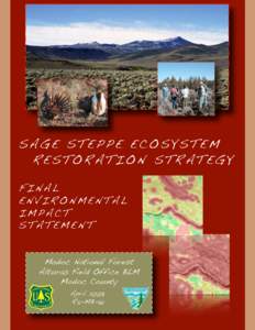 SAGE STEPPE ECOSYSTEM RESTORATION STRATEGY FINAL ENVIRONMENTAL IMPACT STATEMENT