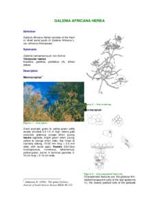 Galenia / High-performance liquid chromatography / Chromatography / Science / Aizoaceae