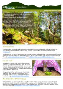 Spring Newsletter[removed]Oxygen producer, soil protector, water filter More than just a wild valley. Side Wood is an ancient oak/birch woodland