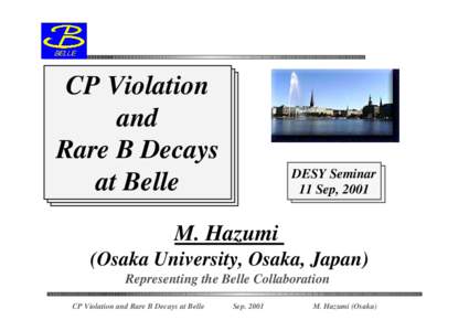 CP Violation and Rare B Decays at Belle  DESY Seminar