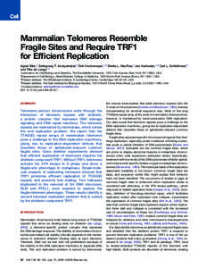 DNA replication / Telomere / Subtelomere / Molecular genetics / Molecular biology / Telomerase / DNA / Telomestatin / Gene / Biology / Genetics / Chromosomes