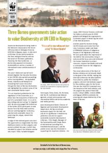 Newsletter – DecemberHeart of Borneo Three Borneo governments take action to value Biodiversity at UN CBD in Nagoya