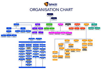ORGANISATION CHART EXECUTIVE DIRECTOR ROBERT SMITHIES