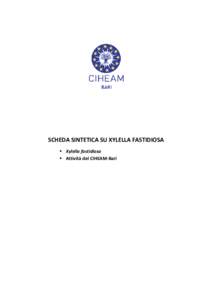 SCHEDA SINTETICA SU XYLELLA FASTIDIOSA  Xylella fastidiosa  Attività del CIHEAM-Bari Il Mediterraneo ospita una consistente biodiversità di specie vegetali che è necessario salvaguardare per ragioni di ordine s