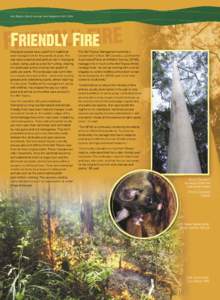 Wet Tropics World Heritage Area Magazine[removed]Aboriginal people have used ﬁre in traditional land management for thousands of years. Fire has had a practical and spiritual role in Aboriginal culture, being used a