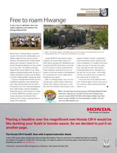 Free to roam Hwange  Getaway Elephant Ambassador Sharon Pincott