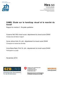 SAMS: Etude sur le handicap visuel et le marché du travail Rapport du module 2 : Enquête qualitative Susanne Nef, MSc travail social, département du travail social ZHAW Analyse des données et rapport