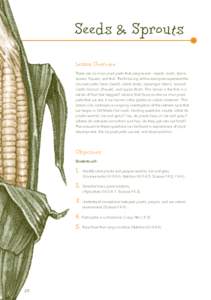 Seeds & Sprouts Lesson Overview There are six main plant parts that people eat—seeds, roots, stems, leaves, flowers, and fruit. The following edible examples represent the six plant parts: bean (seed), carrot (root), a