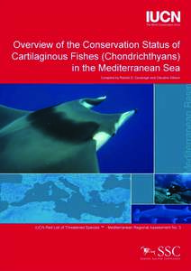 Overview of the Conservation Status of Cartilaginous Fishes (Chondrichthyans) in the Mediterranean Sea Rachel D. Cavanagh and Claudine Gibson