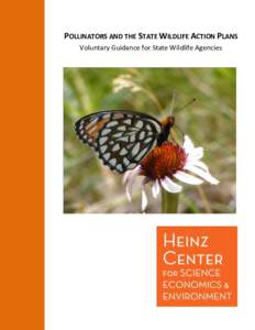 POLLINATORS AND THE STATE WILDLIFE ACTION PLANS Voluntary Guidance for State Wildlife Agencies PROGRAM DIRECTOR JONATHAN MAWDSLEY, PH.D. PROGRAM MANAGER