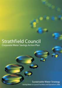 Strathfield Council Corporate Water Savings Action Plan Sustainable Water Strategy Section