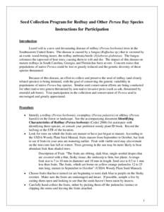 Seed Collection Program for Redbay and Other Persea Bay Species Instructions for Participation Introduction Laurel wilt is a new and devastating disease of redbay (Persea borbonia) trees in the Southeastern United States