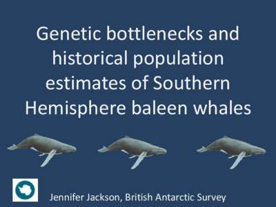 Genetic bottlenecks and historical population estimates of Southern Hemisphere baleen whales  Jennifer Jackson, British Antarctic Survey