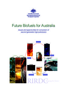 Future Biofuels for Australia Issues and opportunities for conversion of second generation lignocellulosics Gasification Thermochemical