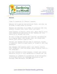 Gardening in a Minute Radio Transcript