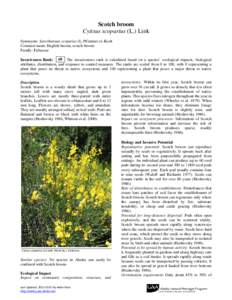 Scotch broom Cytisus scoparius (L.) Link Synonyms: Sarothamnus scoparius (L.)Wimmer ex Koch Common name: English broom, scotch broom Family: Fabaceae Invasiveness Rank: 69 The invasiveness rank is calculated based on a s