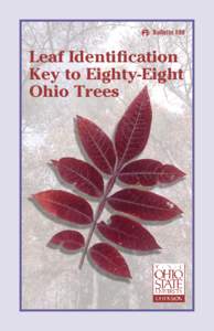 Leaf / Petiole / Pinnate / Identification of trees of the United States / Frond / Plant morphology / Biology / Botany