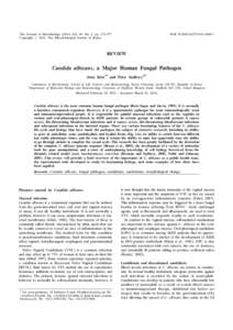 Cell biology / Microbiology / Candida albicans / Candidiasis / Phenotypic switching / Septin / C. albicans / Candida / Fungemia / Biology / Yeasts / Fungal diseases