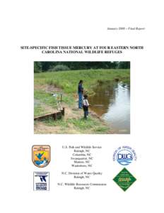 January 2008 – Final Report  SITE-SPECIFIC FISH TISSUE MERCURY AT FOUR EASTERN NORTH CAROLINA NATIONAL WILDLIFE REFUGES  USFWS