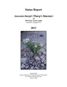 Status Report Amsonia tharpii (Tharp’s bluestar) on NM State Trust Lands (Section 6, Segment 27)
