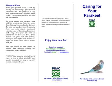 Parakeet / Alexandrine Parakeet / Pet / Companion parrot / Parrots / Psittacinae / Neognathae