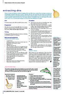 Simple extraction of DNA from onions or fish sperm  extracting dna This is a crude but effective method of isolating DNA and RNA from onions. First, the tissue is broken up mechanically. Household detergent is used to de