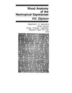 WOOD ANATOMY OF THE NEOTROPICAL SAPOTACEAE VIII. DIPLOON