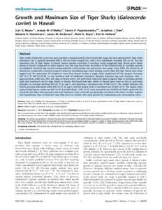 Growth and Maximum Size of Tiger Sharks (Galeocerdo cuvier) in Hawaii Carl G. Meyer1*, Joseph M. O’Malley2, Yannis P. Papastamatiou3,4, Jonathan J. Dale5, Melanie R. Hutchinson1, James M. Anderson1, Mark A. Royer1, Kim