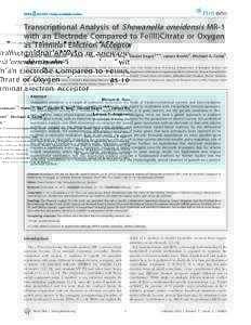 Transcriptional Analysis of Shewanella oneidensis MR-1 with an Electrode Compared to Fe(III)Citrate or Oxygen as Terminal Electron Acceptor Miriam A. Rosenbaum1¤, Haim Y. Bar2, Qasim K. Beg3, Daniel Segre`3,4,5, James B
