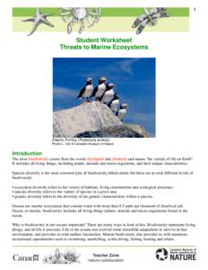 1  Student Worksheet Threats to Marine Ecosystems  Atlantic Puffins (Fratercula arctica).