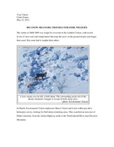 Your Yukon Claire Eamer May 22, 2012 BIG SNOW MEANS BIG TROUBLE FOR SOME WILDLIFE The winter of[removed]was rough for everyone in the southern Yukon, with record
