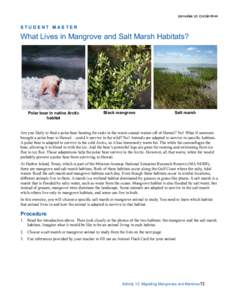 STUDENT M ASTER  What Lives in Mangrove and Salt Marsh Habitats? Polar bear in native Arctic habitat