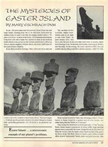 Moai / Anakena / Hanga Roa / Rapa Nui people / Rano Raraku / Rapa Nui / Thor Heyerdahl / Orongo / Rapa Nui National Park / Easter Island / Geography of Chile / Geography of Oceania