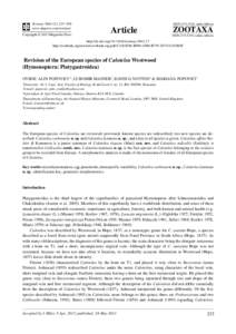 Revision of the European species of Calotelea Westwood (Hymenoptera: Platygastroidea)