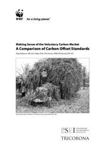 Making Sense of the Voluntary Carbon Market  A Comparison of Carbon Offset Standards